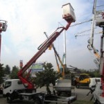 Grande successo Ediltek